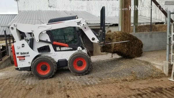 Xe xúc lật Bobcat S770