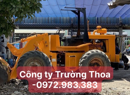 Bàn giao xúc lật TCM STD30 KCN Sóng thần 2