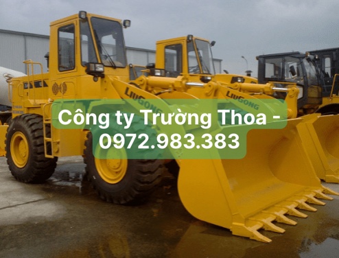 Công ty Trường Thoa-0972.983.383