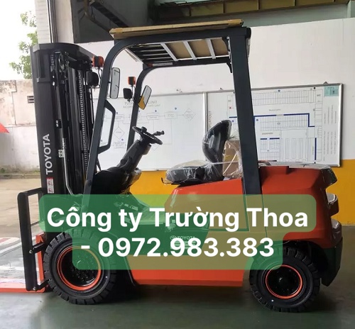 thuê xe nâng hàng công ty Trường Thoa