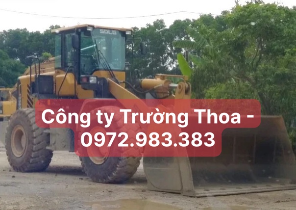 Công ty Trường Thoa - 0972.983.383