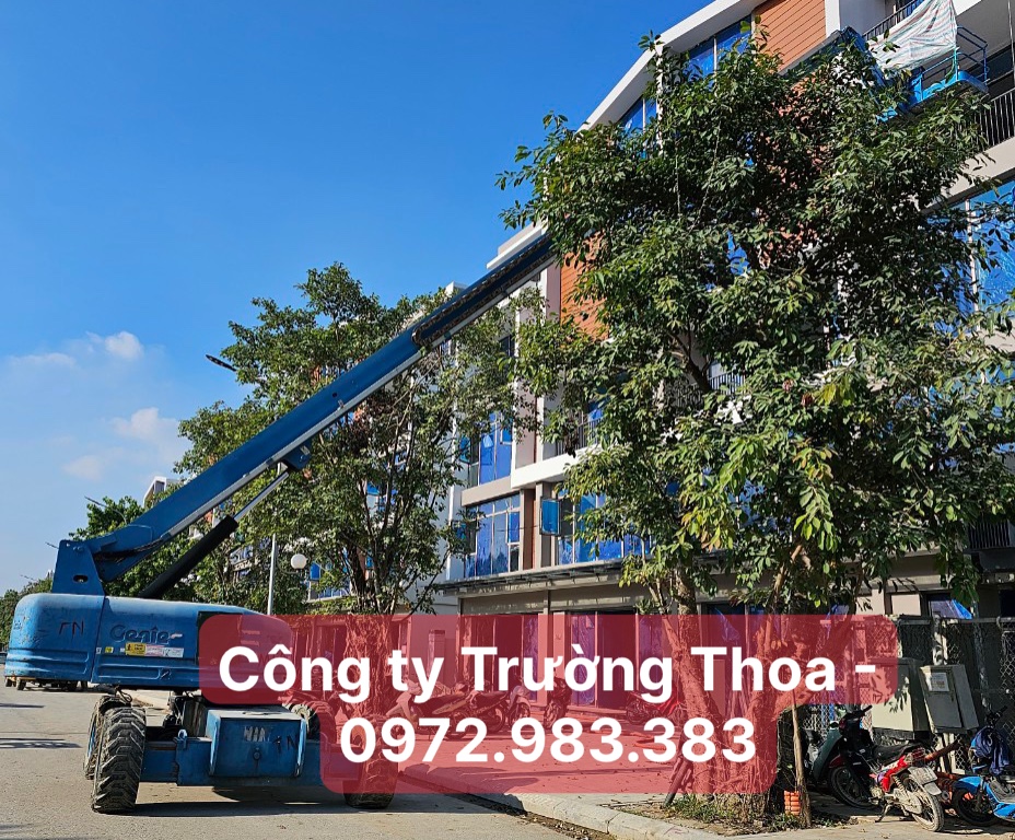 thuê xe nâng hàng 0972.983.383