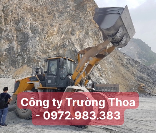 công ty Trường Thoa cung cấp máy xúc lật Liugong CLG856H 