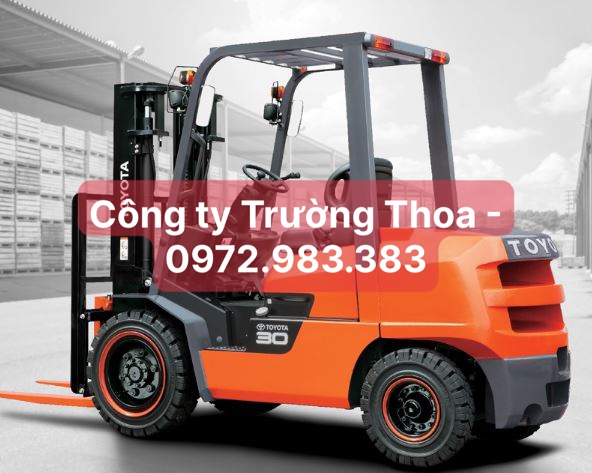 thuê xe nâng hàng công ty Trường Thoa