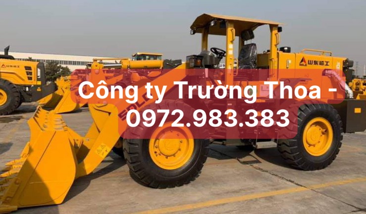 xúc lật SDLG ZL30E ở khu công nghiệp Tân Kim, Long An