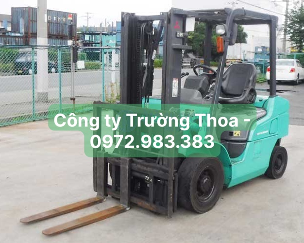 thuê xe nâng hàng công ty Trường Thoa