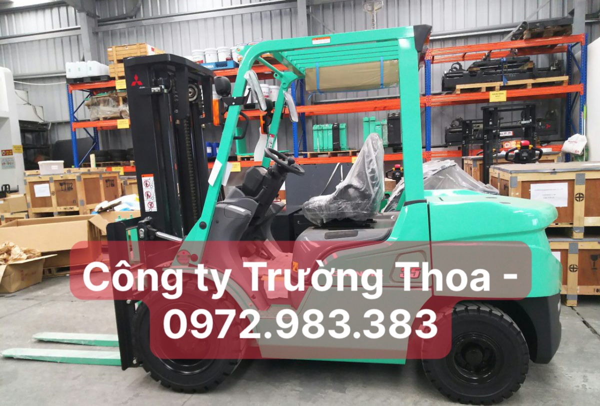 thuê xe nâng hàng công ty Trường Thoa