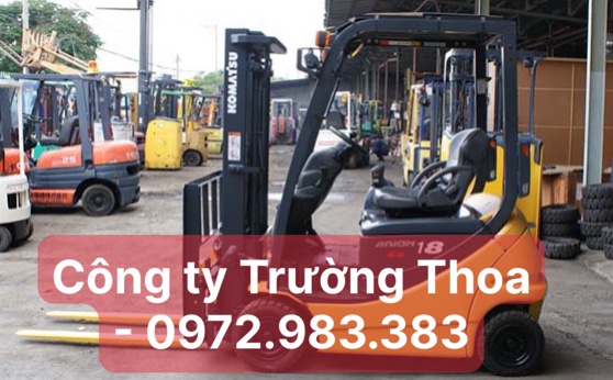 thuê xe nâng hàng công ty Trường Thoa