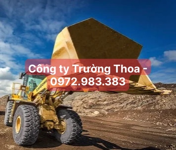 Công ty Trường Thoa - 0972.983.383