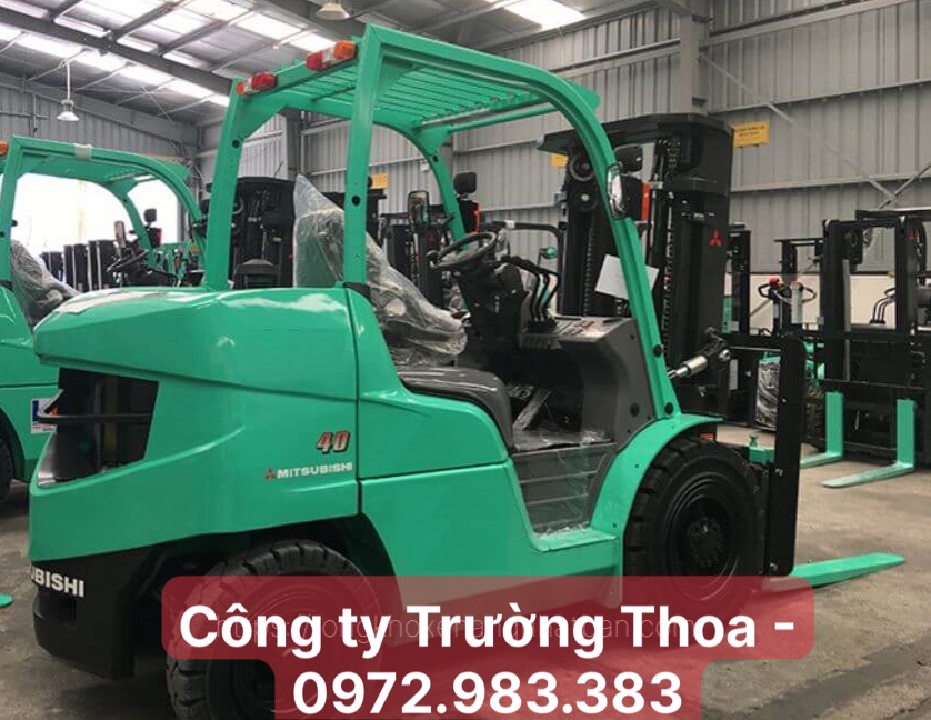 thuê xe nâng hàng công ty Trường Thoa