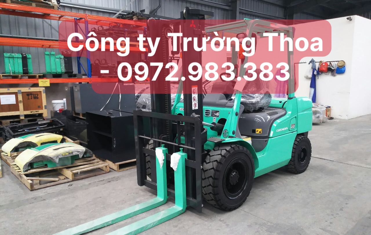 thuê xe nâng hàng công ty Trường Thoa