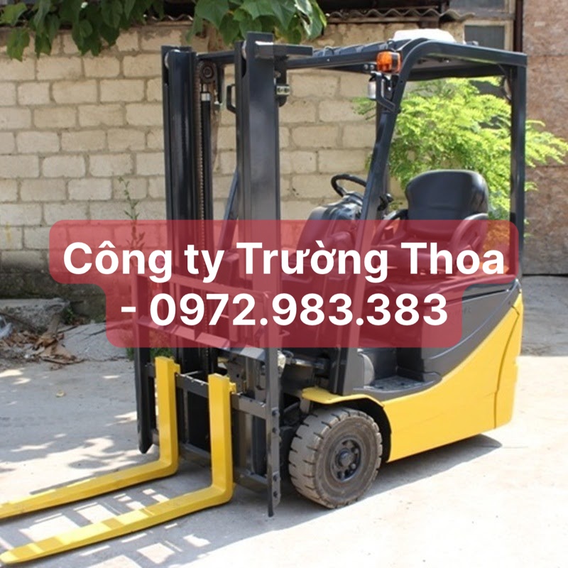 thuê xe nâng hàng 0972.983.383