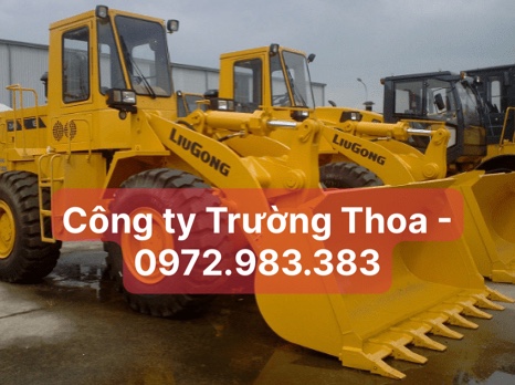 thuê xe nâng hàng công ty Trường Thoa