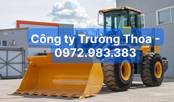 Công ty Trường Thoa - 0972.983.383