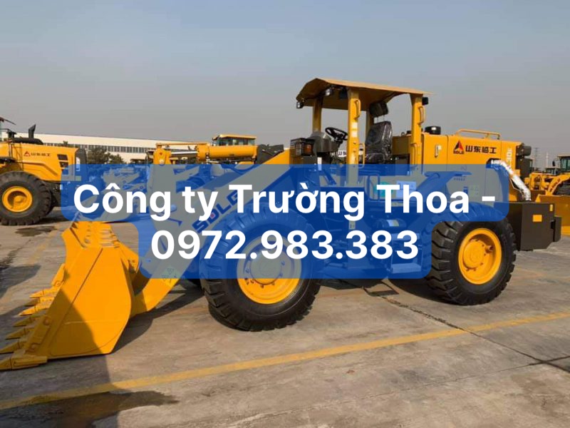 Công ty Trường Thoa - 0972.983.383