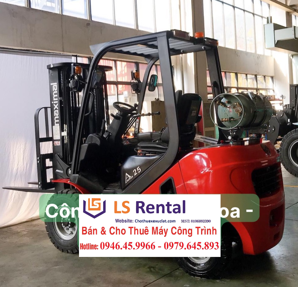 Dịch vụ cho thuê xe nâng hàng giá rẻ