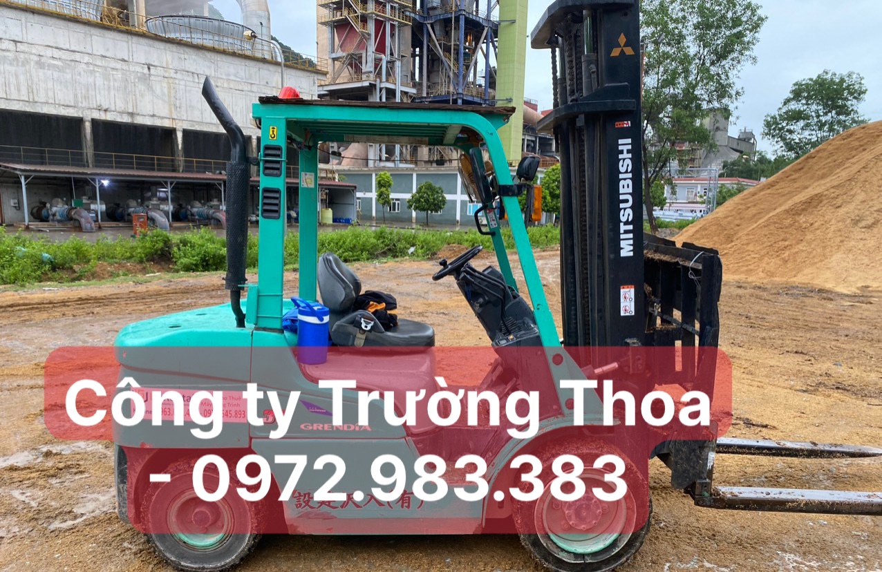 thuê xe nâng hàng công ty Trường Thoa