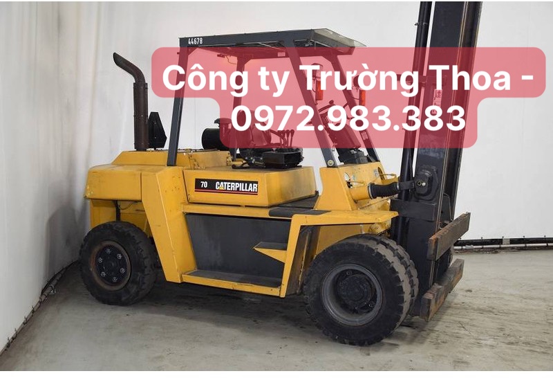 thuê xe nâng hàng công ty Trường Thoa