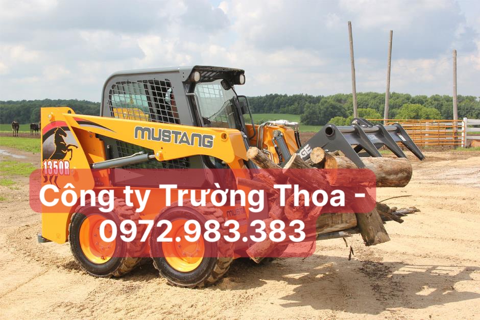 thuê xúc lật 1 thân rẻ ngon