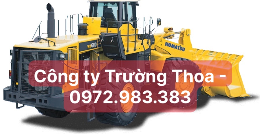 Công ty Trường Thoa - 0972.983.383