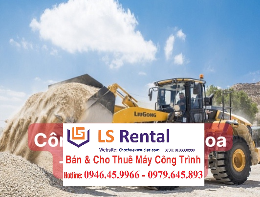Cho thuê giá rẻ xúc lật 2 thân Liugong CLG890H