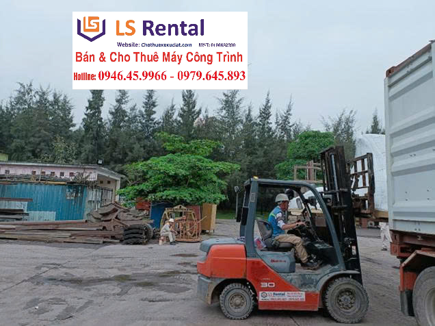 cho thuê rút ruột container và đóng hàng